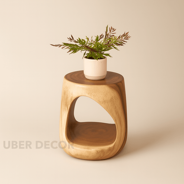 Tapti Solid Wood Side Table with Open Storage Sculptural Organic Modern Accent Table for Living Room & Bedroom