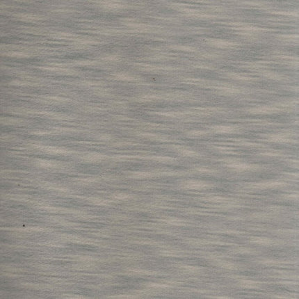 DRAGONFLY - Upholstery Fabric- Silver Driftwood