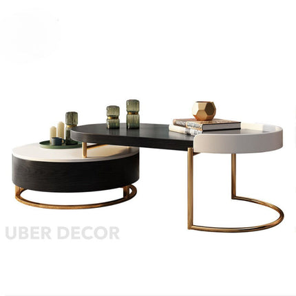 Churchill River Coffee Table with Storage, Modern European Wood and White Functional Center Table with Gold Accents for Living Room
