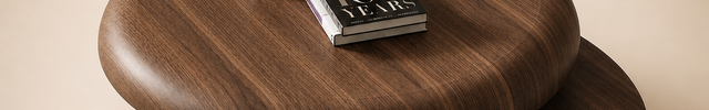 Niari round double layer coffee table in solid wood modern center table for family room seating area and contemporary interiors