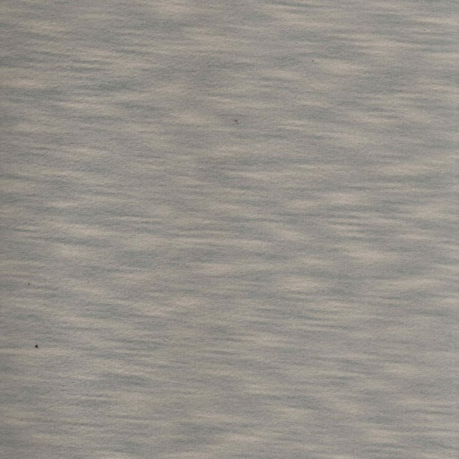 DRAGONFLY - Upholstery Fabric- Silver Driftwood