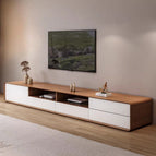TV Unit