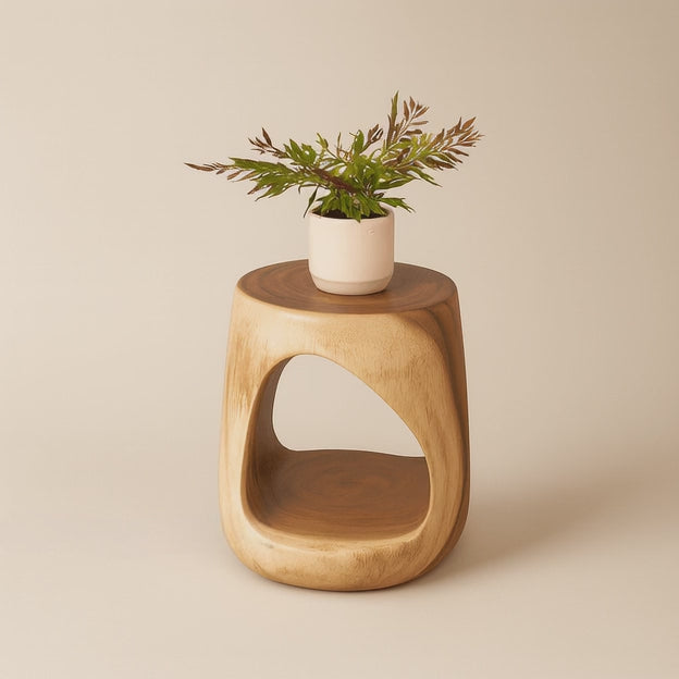 Tapti Solid Wood Side Table with Open Storage Sculptural Organic Modern Accent Table for Living Room & Bedroom